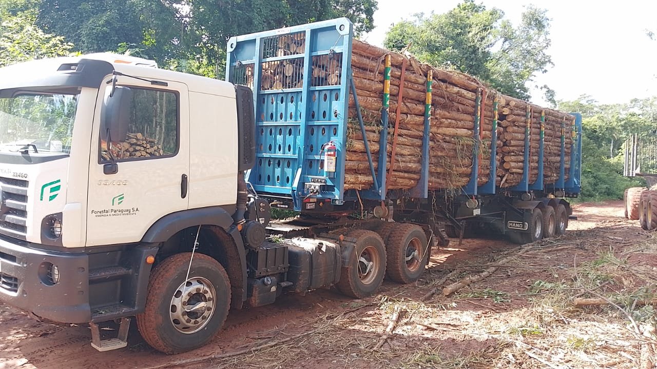 Transporte forestal